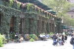 copy-img_8188
