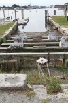 copy-img_8323