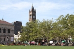 copy-img_8355