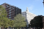 copy-img_8357