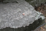 copy-img_8400