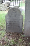 copy-img_8407