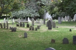 copy-img_8413