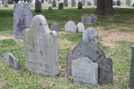 copy-img_8423