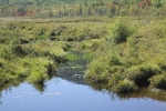 copy-img_8440