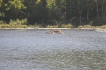 copy-img_8443