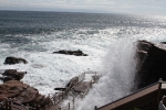 copy-img_8460