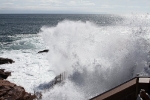 copy-img_8461