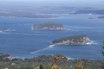 copy-img_8495