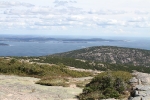 copy-img_8498