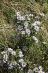copy-img_8504