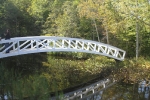 copy-img_8516