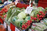 copy-img_8532