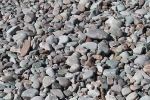 copy-img_8558