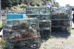 copy-img_8587