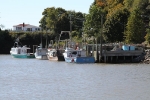copy-img_8592