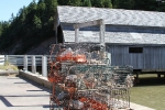 copy-img_8594