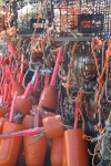copy-img_8643