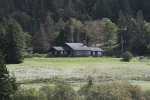 copy-img_8735