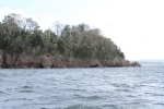 copy-img_8739