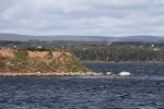 copy-img_8747
