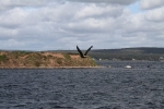 copy-img_8762