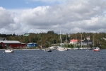 copy-img_8773