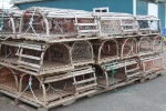 copy-img_8854