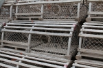 copy-img_8861