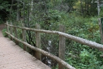 copy-img_8888