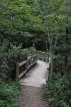 copy-img_8894