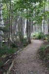 copy-img_8906