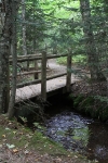 copy-img_8916