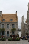 copy-img_9012