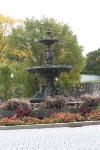 copy-img_9029