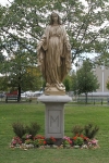 copy-img_9120