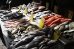 img_1200-copy