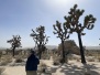 Palm Springs ~ March 2022