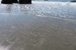 IMG_5032