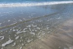 IMG_5046