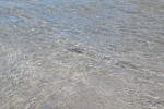 IMG_5061