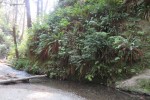 IMG_5098