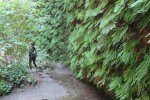 IMG_5119