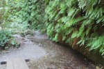 IMG_5120