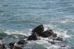 IMG_5167