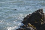 IMG_5168