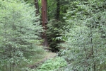 img_7761-copy