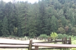 img_7770-copy