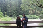 img_7771-copy