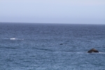 IMG_7136.jpg